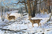 No Trespassing Fine Art Print