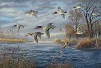 Sancutary Bay Fine Art Print