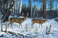 Hunter's Ridge Fine Art Print