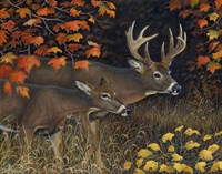Scent of Autumn Fine Art Print