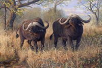 Fearless Fine Art Print