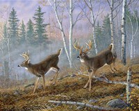 Unfailing Wind Fine Art Print