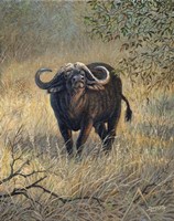 Back Off Fine Art Print