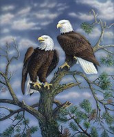 Cry of Freedom Fine Art Print