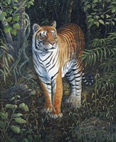 Jungle Queen Fine Art Print