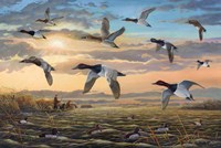 Riding the Tailwind Fine Art Print