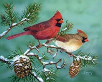 Winter Morning Cardinals Fine Art Print