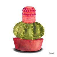 Cactus Flowers IV Fine Art Print