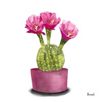 Cactus Flowers V Fine Art Print