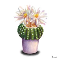Cactus Flowers IX Fine Art Print