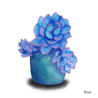 Turquoise Succulents I Fine Art Print