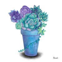 Turquoise Succulents IV Fine Art Print