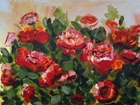 Red Poppies Garden Fine Art Print