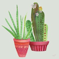 Succulent Symphony IV clean Fine Art Print