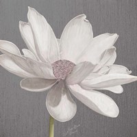 Vintage Lotus on Grey I Fine Art Print