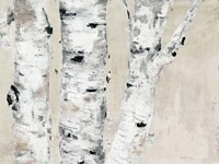 Birch Tree Close Up Neutral Fine Art Print