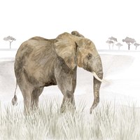 Serengeti Elephant Square Fine Art Print