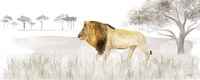 Serengeti Lion horizontal panel Fine Art Print
