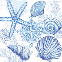Coastal Sketchbook Shell Toss Fine Art Print