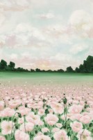 Pink Poppies Fine Art Print