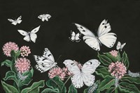 Butterflies Fine Art Print