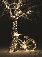Snowy Bicycle Fine Art Print