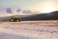 Waiting Fine Art Print