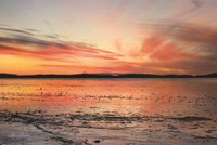 Fire and Ice Fine Art Print