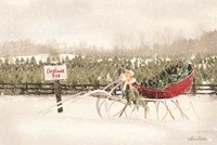 Red Sleigh at Tree Farm Fine Art Print