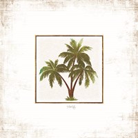 Palm Trees Fine Art Print