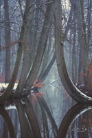 The Bent Ones - Winter Version Fine Art Print