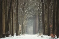 Winer Alley Fine Art Print