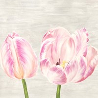 Classic Tulips I Framed Print