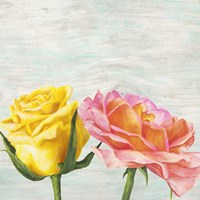 Funky Roses I Fine Art Print