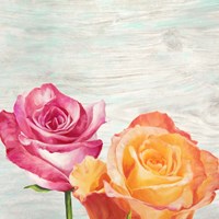 Funky Roses II Fine Art Print