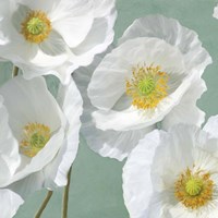 Poppies on Mint I Fine Art Print