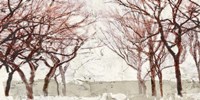 Rusty Trees Fine Art Print
