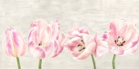 Classic Tulips Fine Art Print