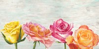 Funky Roses Fine Art Print