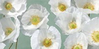 Poppy Arrangement (Mint) Fine Art Print
