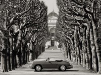 Roadster in Tree Lined Road, Paris (BW) Fine Art Print