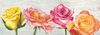 Funky Roses Fine Art Print