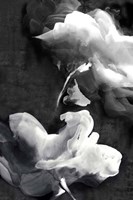 Dark Beauty I Fine Art Print