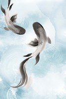 Swimming Carp II Fine Art Print