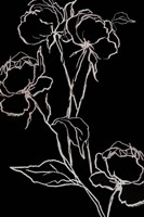 Sudden Sense Fine Art Print