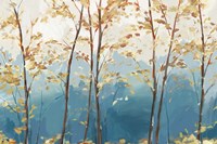 Ascent Trail Fine Art Print