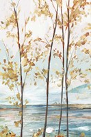Sage Tree Forest I Fine Art Print