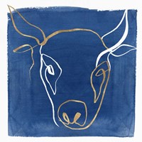 Indigo Ox Fine Art Print