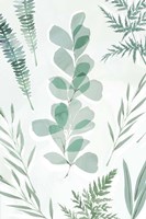 Some Day Soon II Fine Art Print