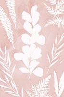 Juneberry II Fine Art Print